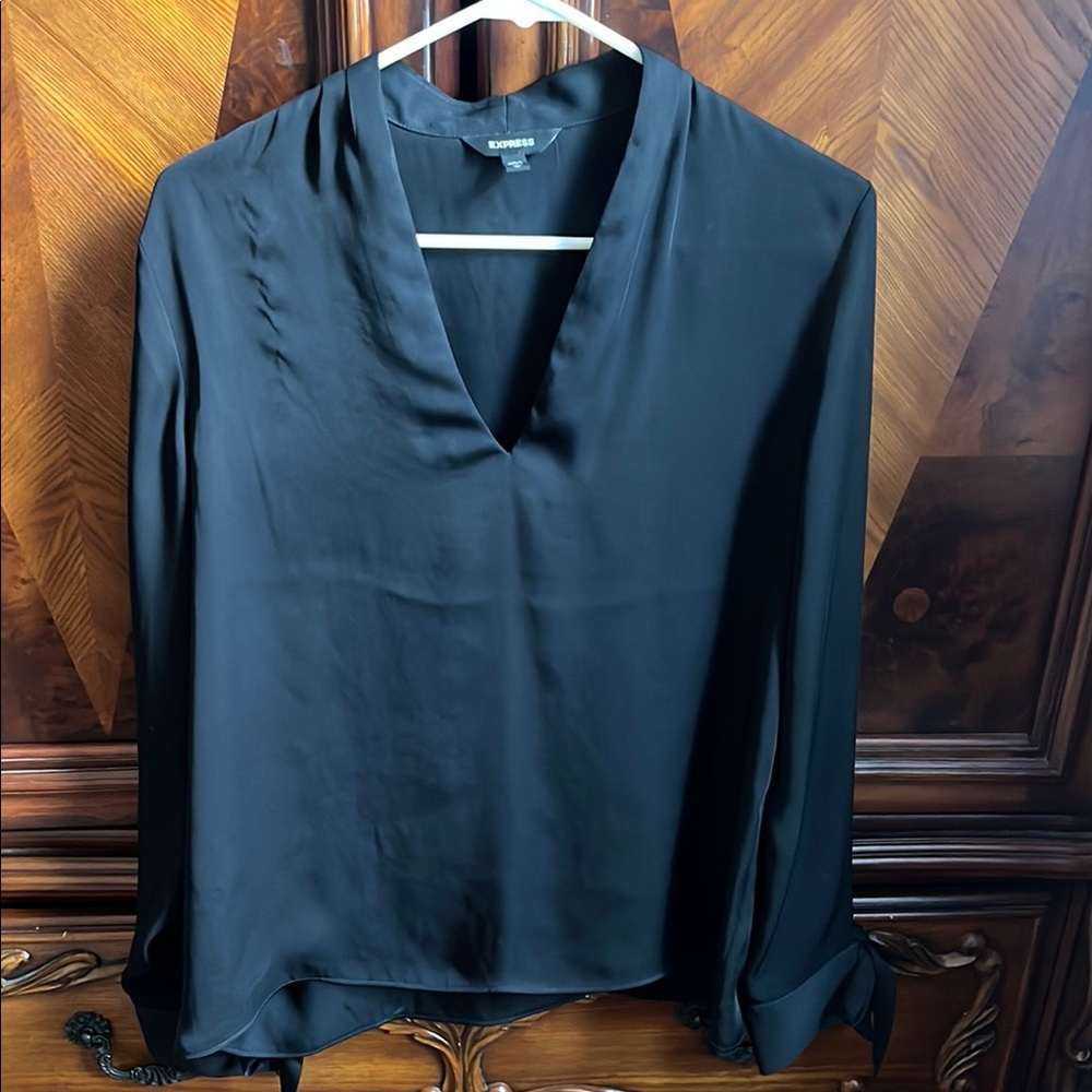 Express Blue Long Sleeve V-Neck Blouse